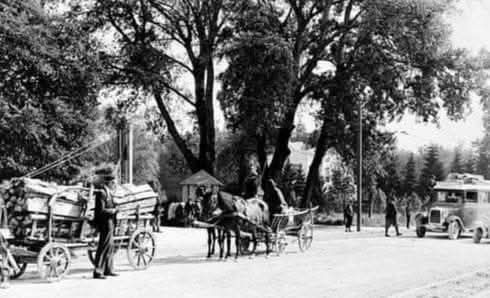 Mitnica na Maksimirskoj cesti 1935. godine